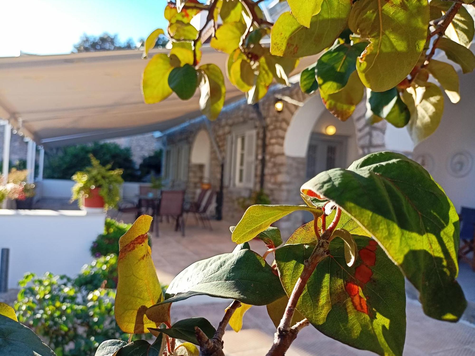 Smaragdas Paradise Hydra  Exterior photo